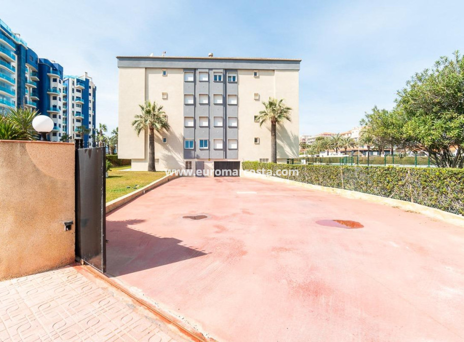 Sale - Apartment / flat - Torrevieja - TORREVIEJA