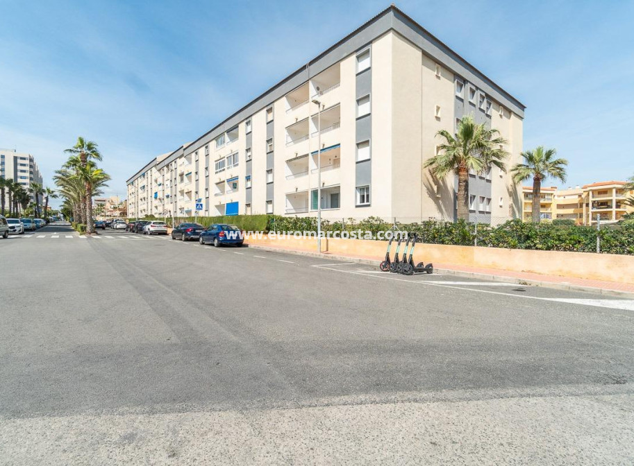 Sale - Apartment / flat - Torrevieja - TORREVIEJA