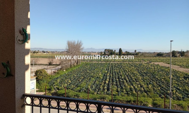 Sale - Townhouse - Daya Vieja