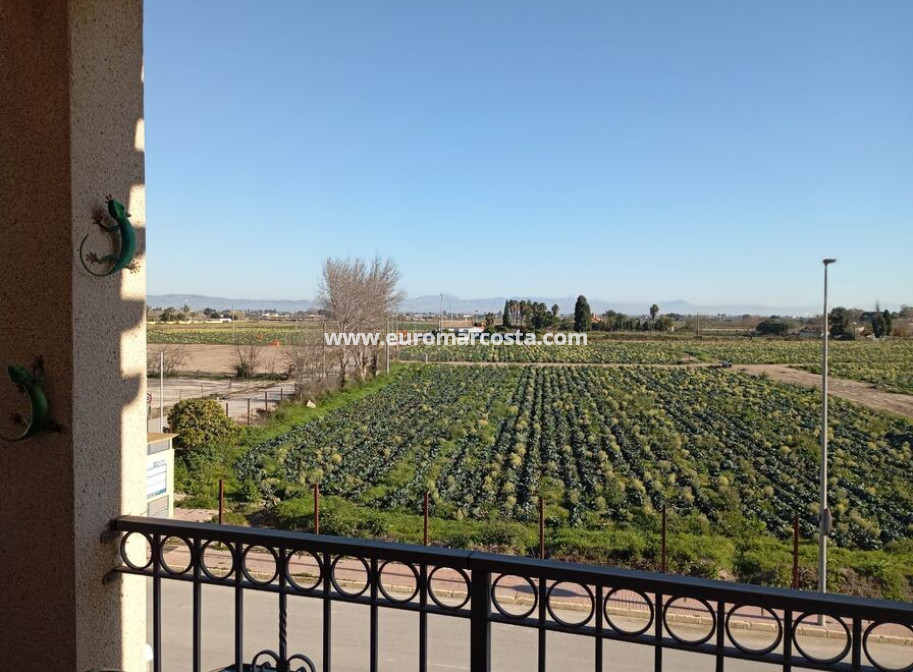 Sale - Townhouse - Daya Vieja