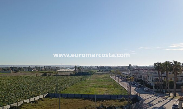 Sale - Townhouse - Daya Vieja