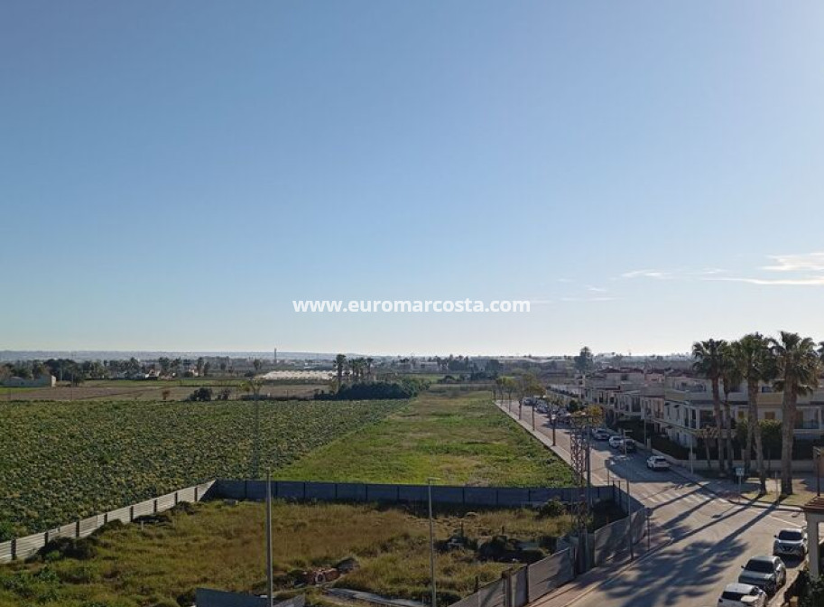 Sale - Townhouse - Daya Vieja