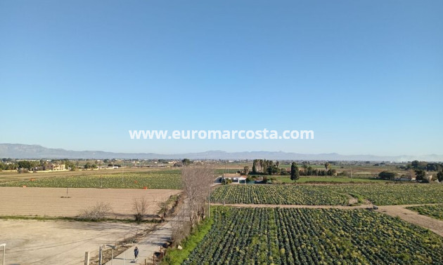 Sale - Townhouse - Daya Vieja