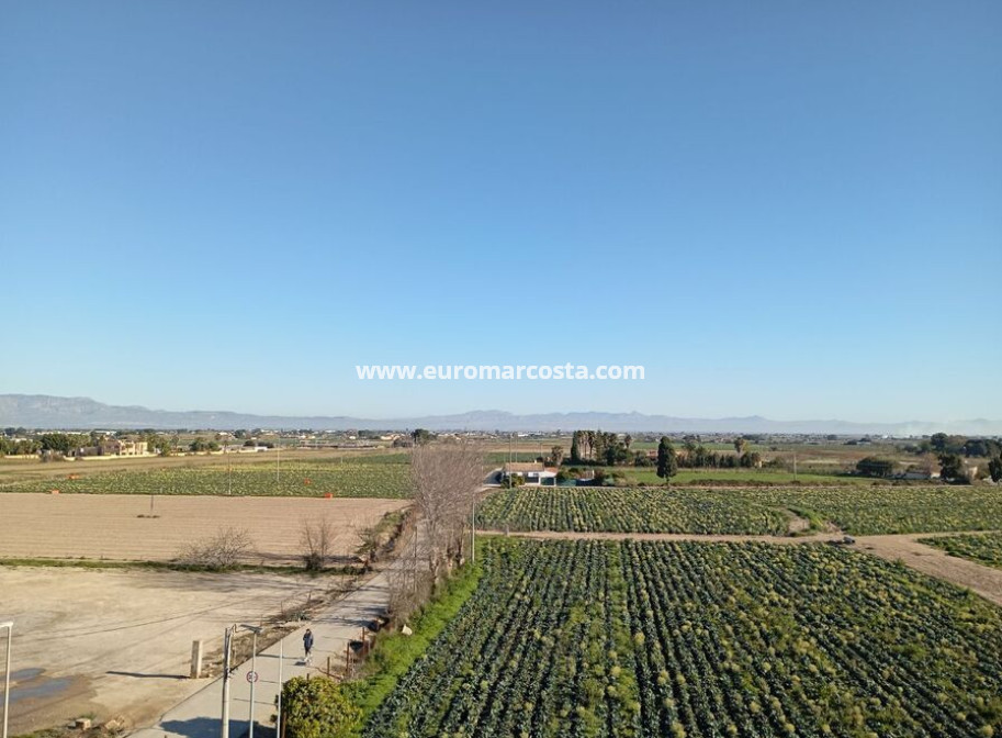 Sale - Townhouse - Daya Vieja