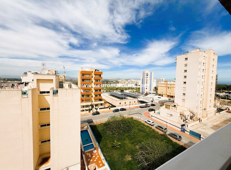 Sale - Apartment / flat - Guardamar del Segura