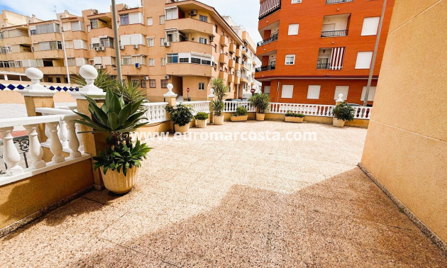 Sale - Apartment / flat - Guardamar del Segura