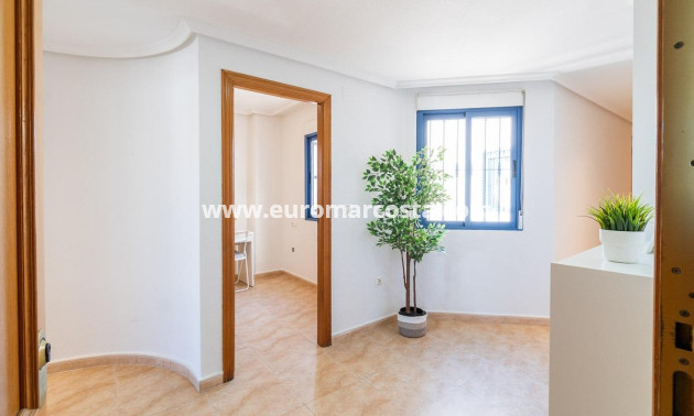 Sale - Penthouse - Torrevieja - TORREVIEJA