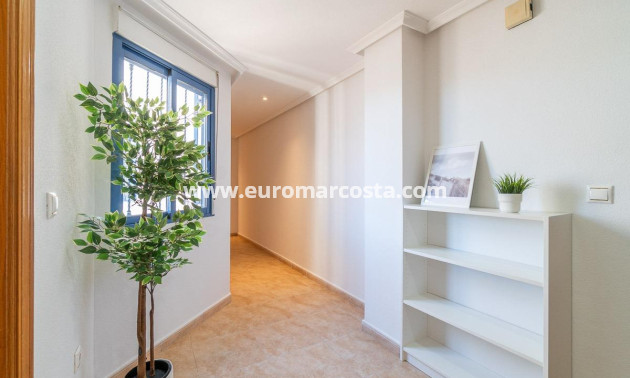 Sale - Penthouse - Torrevieja - TORREVIEJA