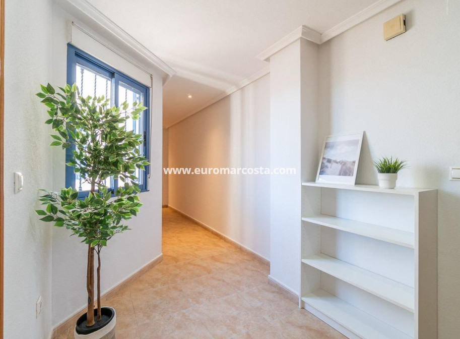 Sale - Penthouse - Torrevieja - TORREVIEJA