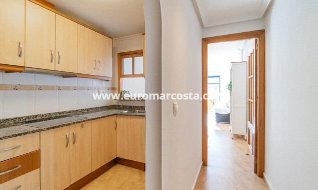 Sale - Penthouse - Torrevieja - TORREVIEJA