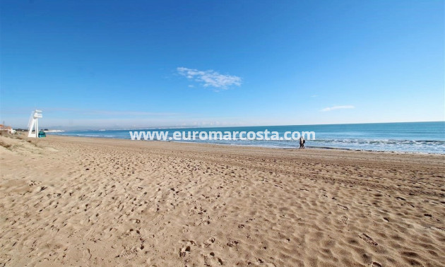 Venta - Apartamento / piso - Guardamar del Segura