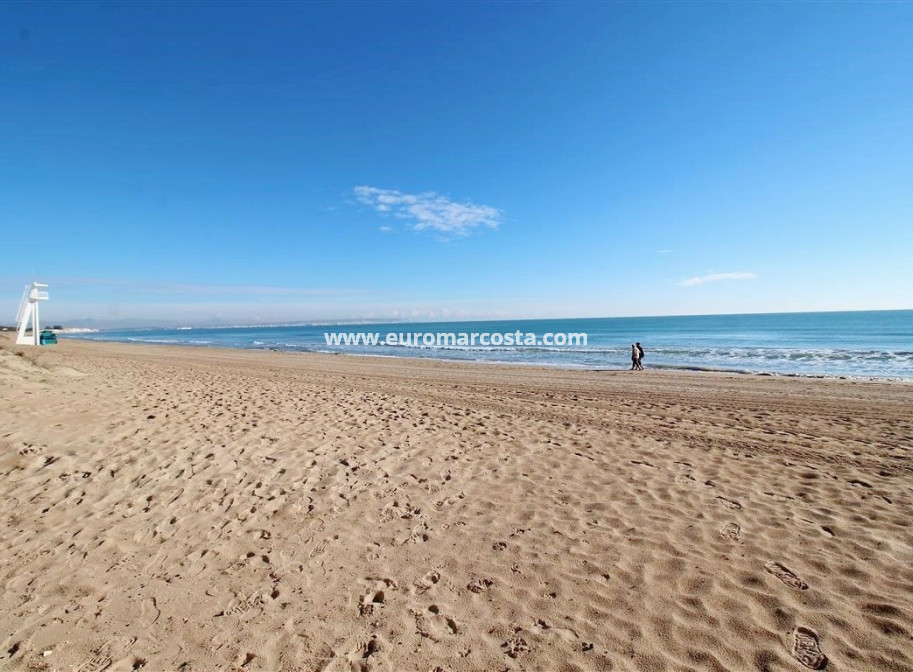 Venta - Apartamento / piso - Guardamar del Segura