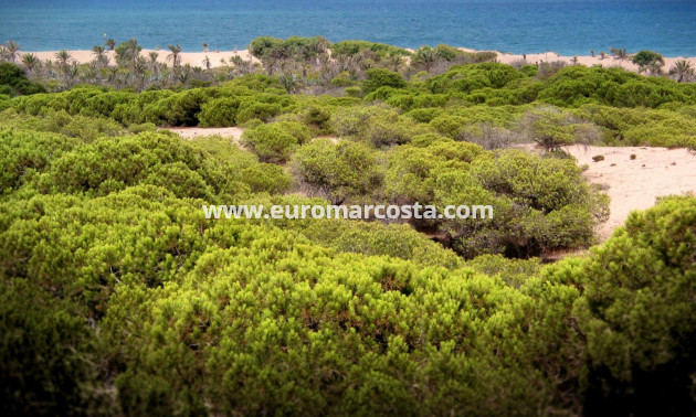 Venta - Apartamento / piso - Guardamar del Segura