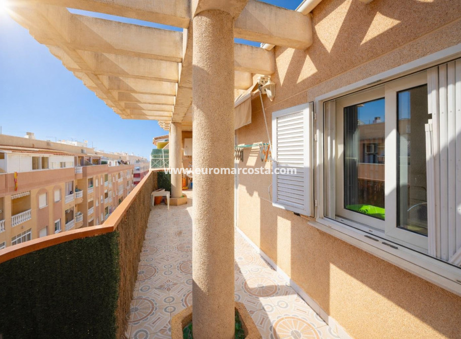 Objekte zum Wiederverkauf - Wohnung - Torrevieja - TORREVIEJA