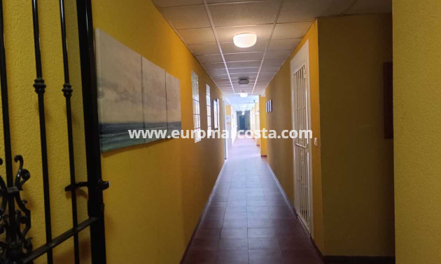 Venta - Apartamento / piso - Rafal