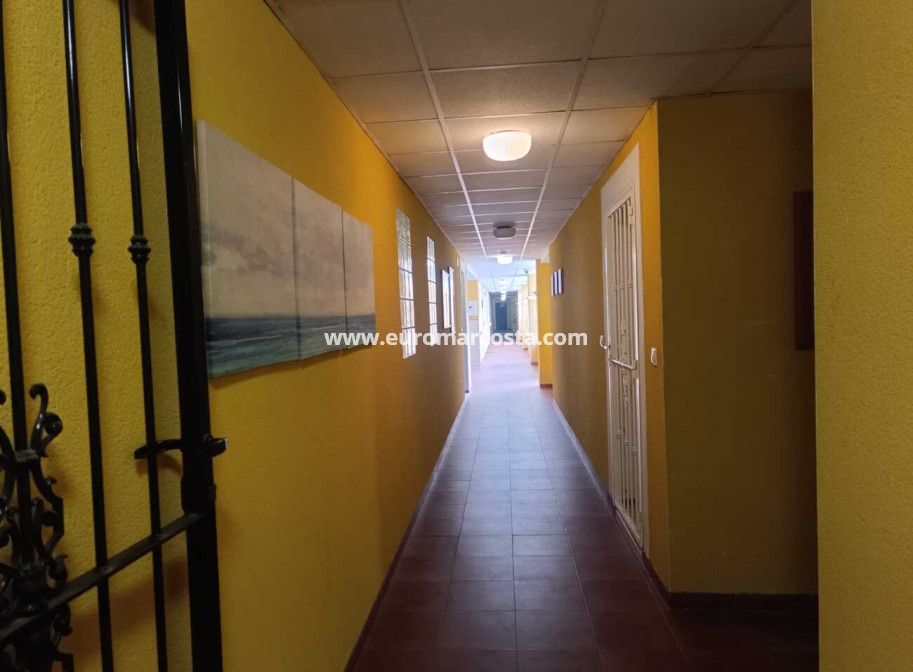 Venta - Apartamento / piso - Rafal