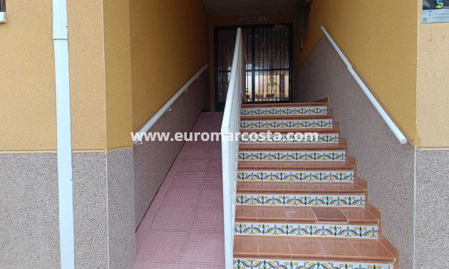 Venta - Apartamento / piso - Rafal