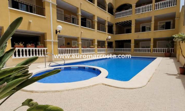 Venta - Apartamento / piso - Rafal