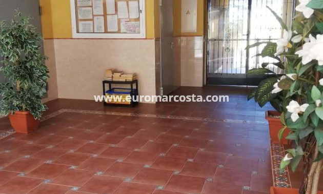 Venta - Apartamento / piso - Rafal