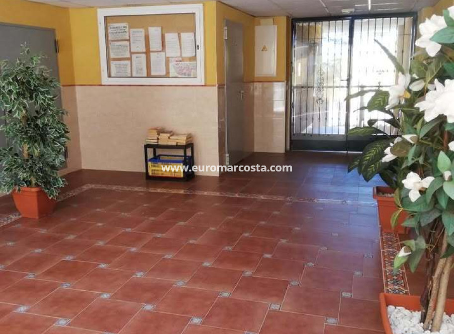 Venta - Apartamento / piso - Rafal