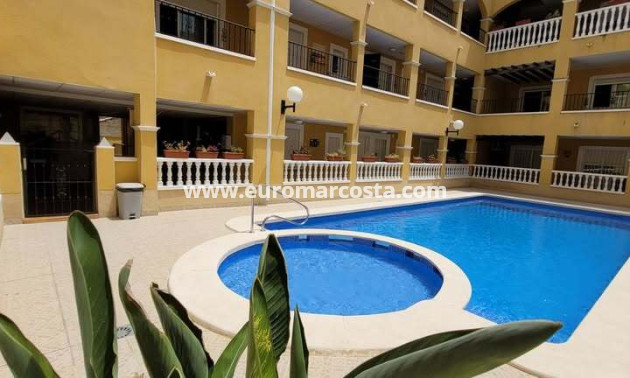 Venta - Apartamento / piso - Rafal