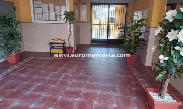 Venta - Apartamento / piso - Rafal