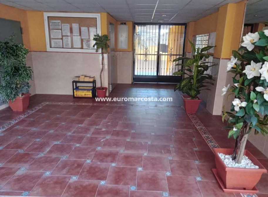 Venta - Apartamento / piso - Rafal
