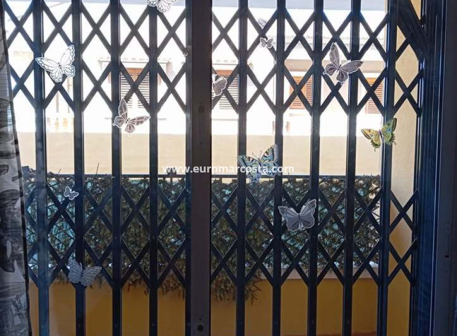 Venta - Apartamento / piso - Rafal