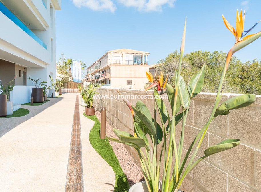 Alquiler a largo plazo - Apartamento / piso - Orihuela Costa