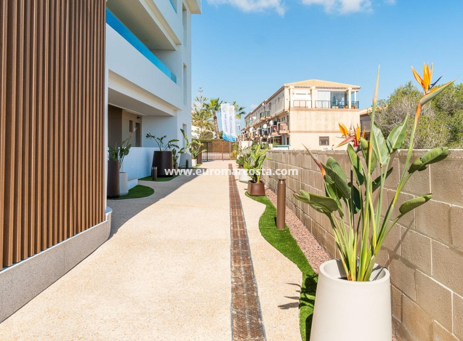 Alquiler a largo plazo - Apartamento / piso - Orihuela Costa