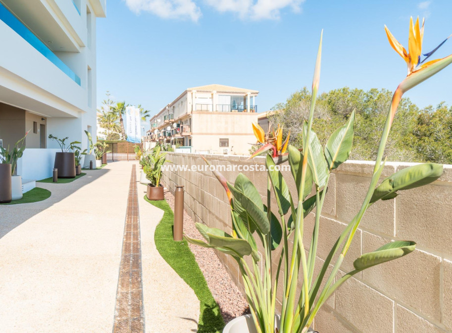 Alquiler a largo plazo - Apartamento / piso - Orihuela Costa