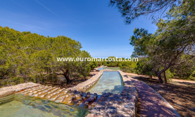 Objekte zum Wiederverkauf - Wohnstudio - La Mata