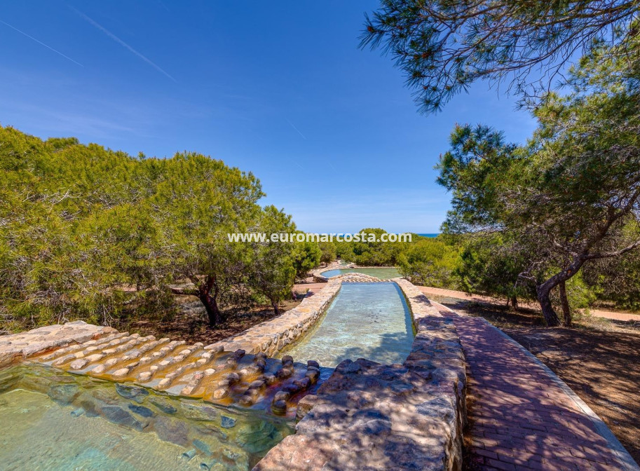 Objekte zum Wiederverkauf - Wohnstudio - La Mata