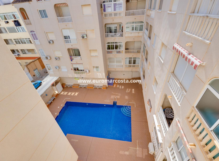 Sale - Apartment / flat - Torrevieja - TORREVIEJA