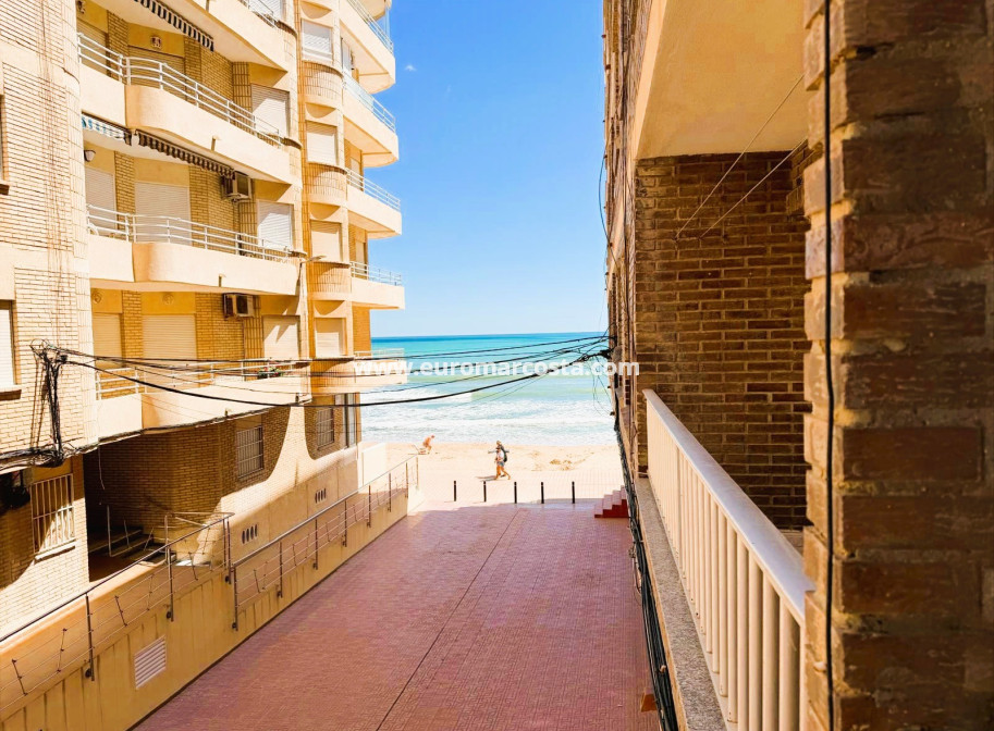 Venta - Apartamento / piso - La Mata