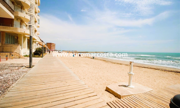 Venta - Apartamento / piso - La Mata