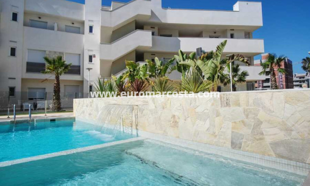 Sale - Apartment / flat - Guardamar del Segura