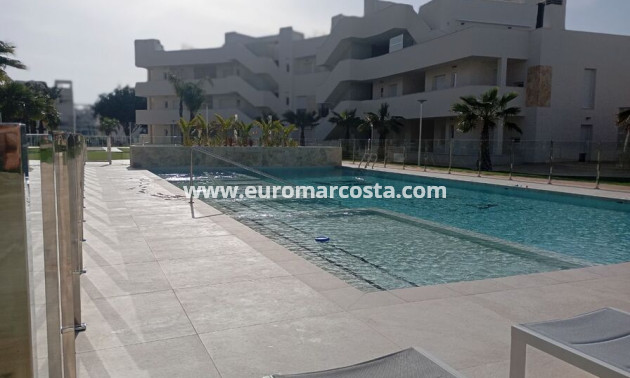 Sale - Apartment / flat - Guardamar del Segura