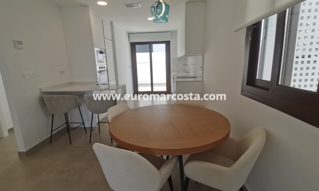 Nueva construcción  - Bungalow - Torrevieja - TORREVIEJA