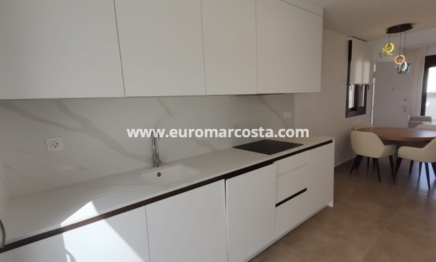 Nueva construcción  - Bungalow - Torrevieja - TORREVIEJA