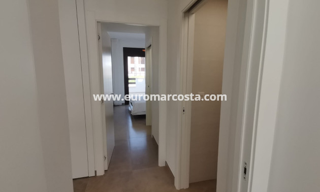 Nueva construcción  - Bungalow - Torrevieja - TORREVIEJA