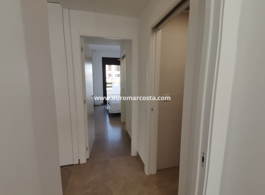Nueva construcción  - Bungalow - Torrevieja - TORREVIEJA