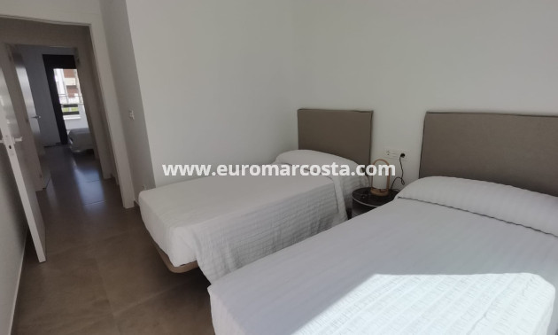 Nueva construcción  - Bungalow - Torrevieja - TORREVIEJA
