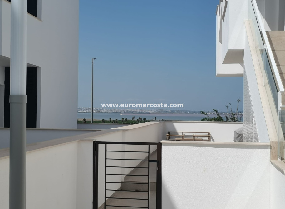 Nueva construcción  - Bungalow - Torrevieja - TORREVIEJA