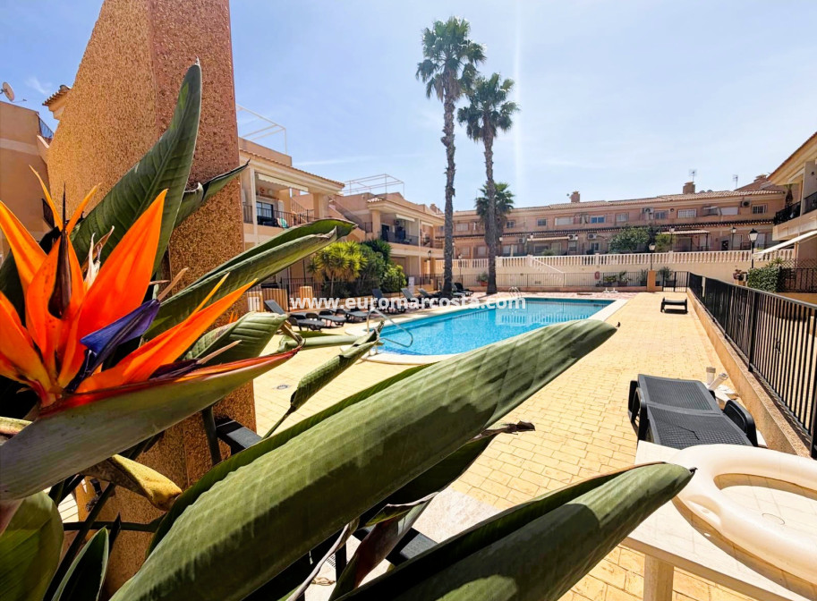 Sale - Bungalow Planta Baja - Algorfa