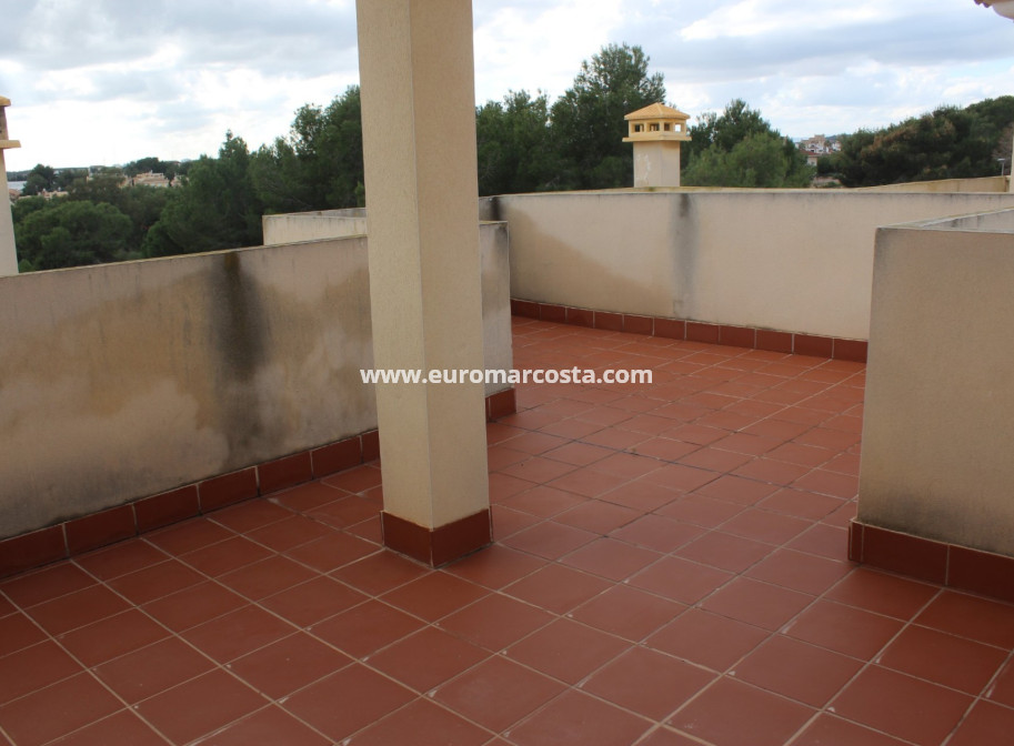Sale - Quad - Algorfa