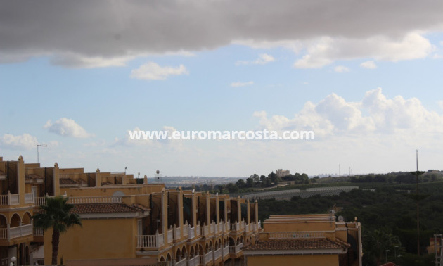 Sale - Quad - Algorfa