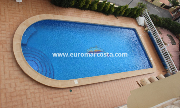Sale - Quad - Algorfa