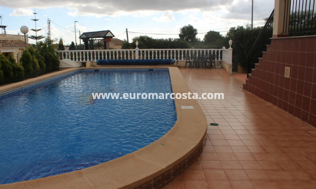 Sale - Quad - Algorfa