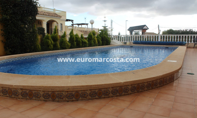 Sale - Quad - Algorfa